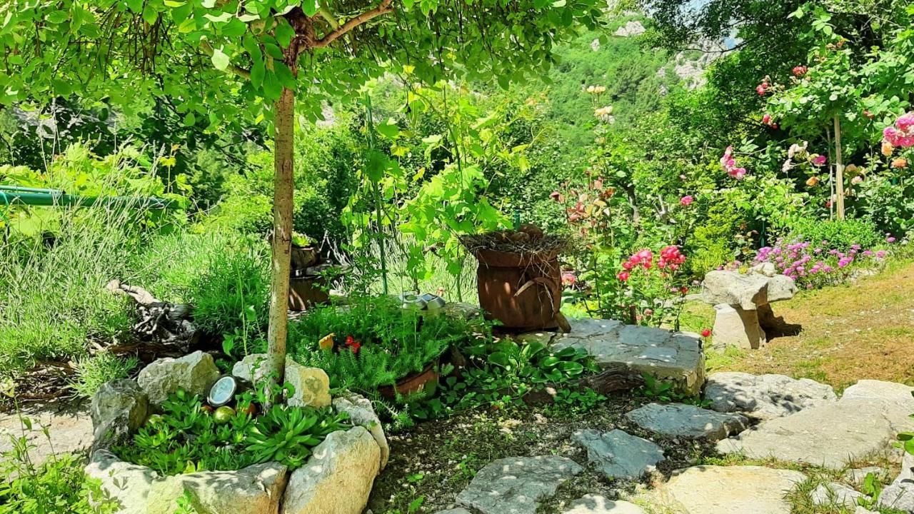 Holiday Home With A Private Pool Podspilje  Экстерьер фото